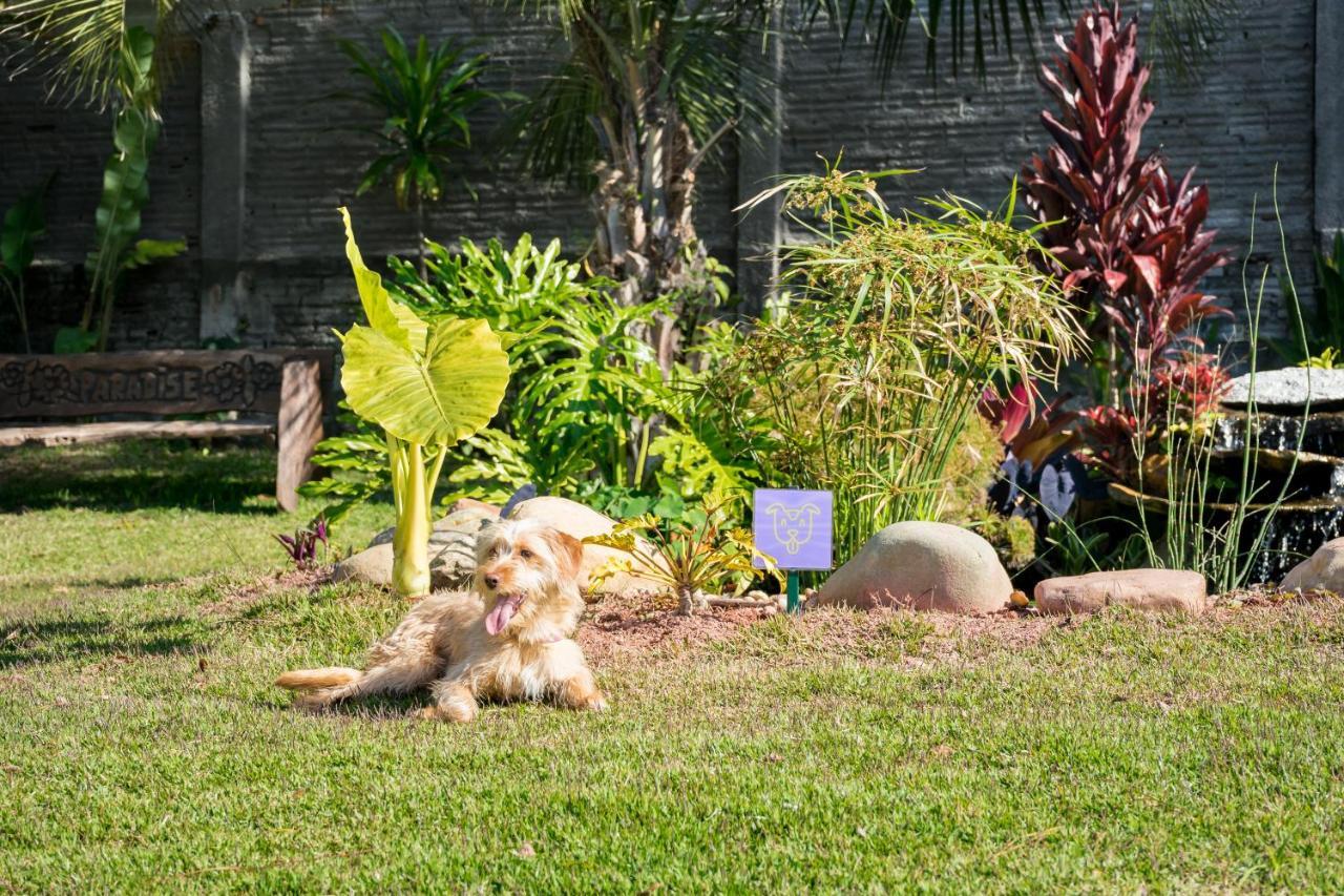 Makkai Resort บอมบินญัส ภายนอก รูปภาพ